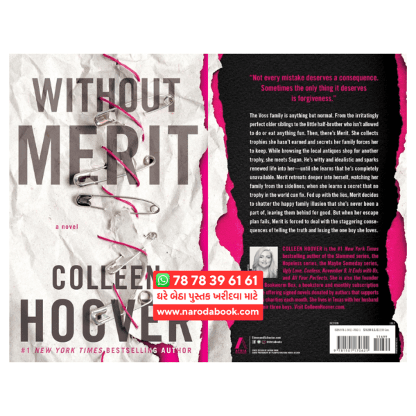 without merit colleen hoover summary english book