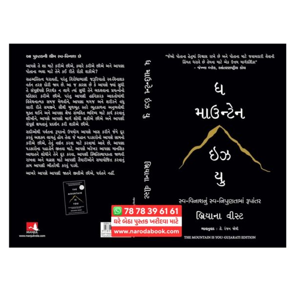 the mountain is you book